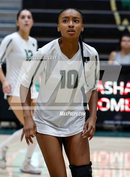 Thumbnail 2 in Perry @ Basha photogallery.