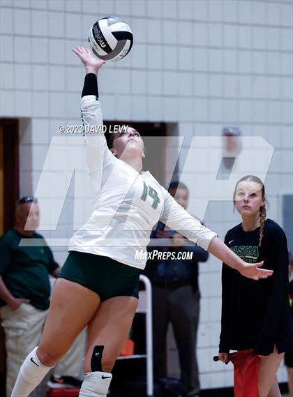Thumbnail 2 in Perry @ Basha photogallery.