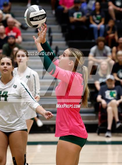 Thumbnail 3 in Perry @ Basha photogallery.