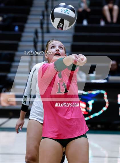 Thumbnail 3 in Perry @ Basha photogallery.