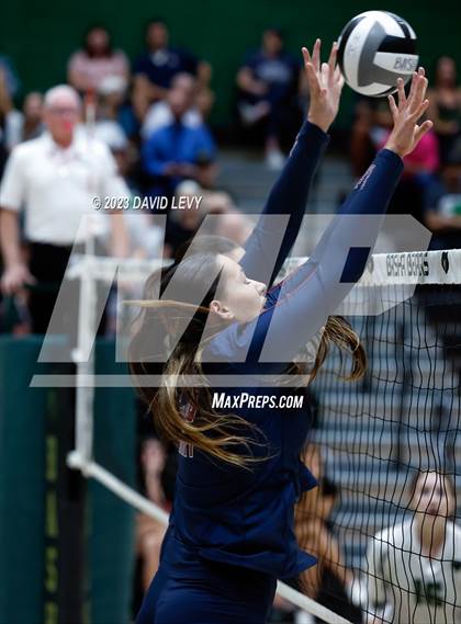 Thumbnail 1 in Perry @ Basha photogallery.