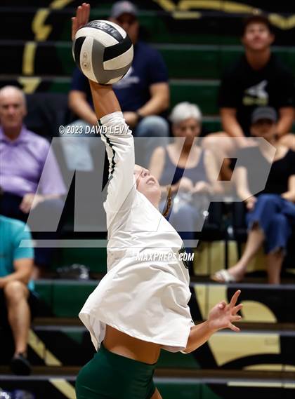 Thumbnail 1 in Perry @ Basha photogallery.