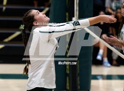 Thumbnail 2 in Perry @ Basha photogallery.