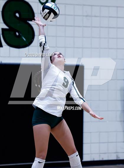 Thumbnail 1 in Perry @ Basha photogallery.