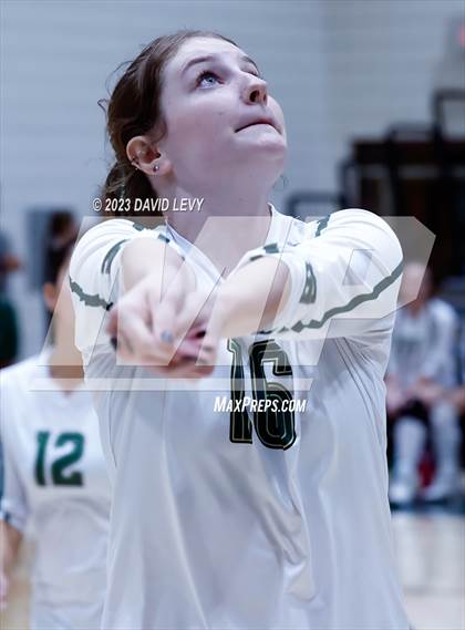 Thumbnail 3 in Perry @ Basha photogallery.