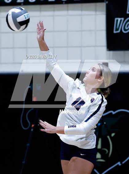 Thumbnail 2 in Perry @ Basha photogallery.