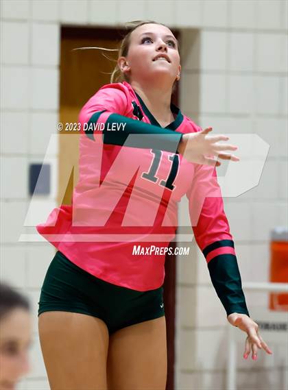 Thumbnail 1 in Perry @ Basha photogallery.