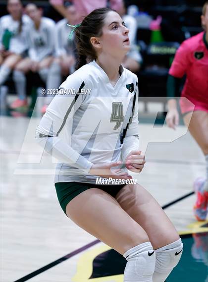 Thumbnail 3 in Perry @ Basha photogallery.