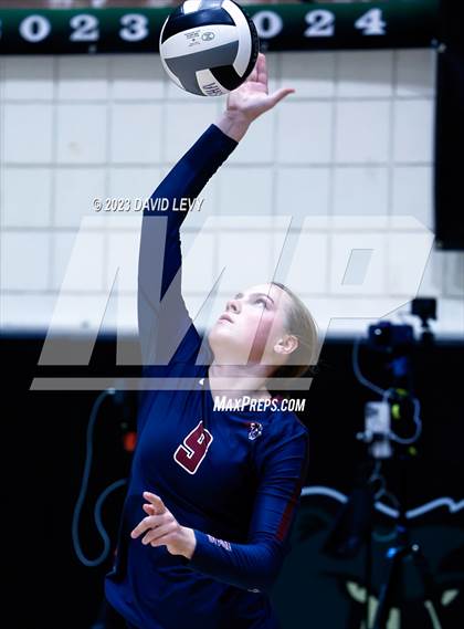 Thumbnail 2 in Perry @ Basha photogallery.