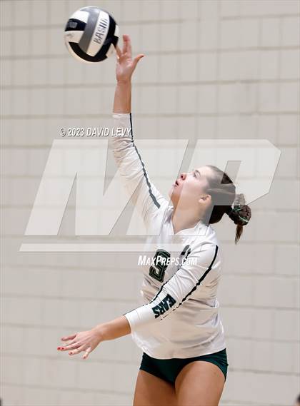Thumbnail 2 in Perry @ Basha photogallery.