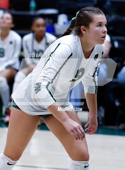 Thumbnail 3 in Perry @ Basha photogallery.