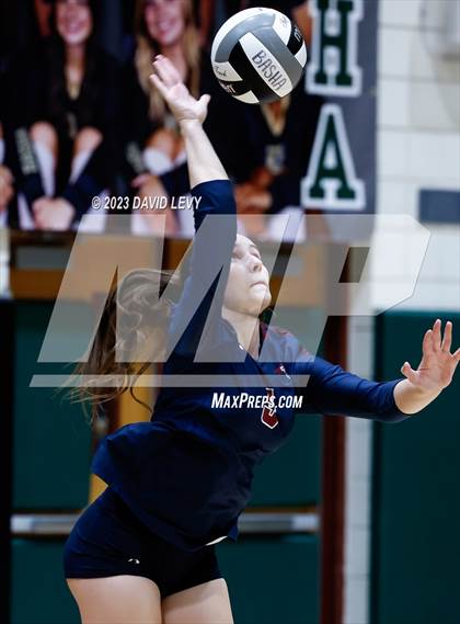 Thumbnail 3 in Perry @ Basha photogallery.