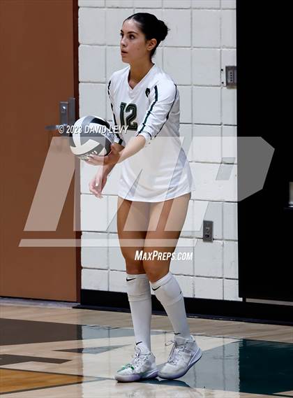 Thumbnail 3 in Perry @ Basha photogallery.
