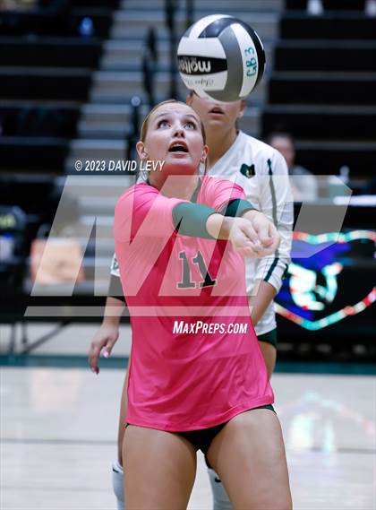 Thumbnail 2 in Perry @ Basha photogallery.