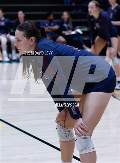 Thumbnail 2 in Perry @ Basha photogallery.