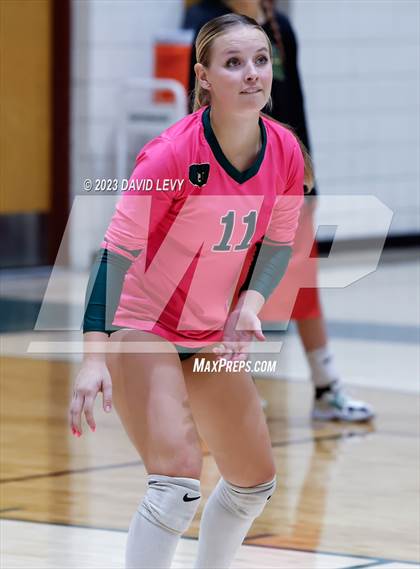 Thumbnail 3 in Perry @ Basha photogallery.
