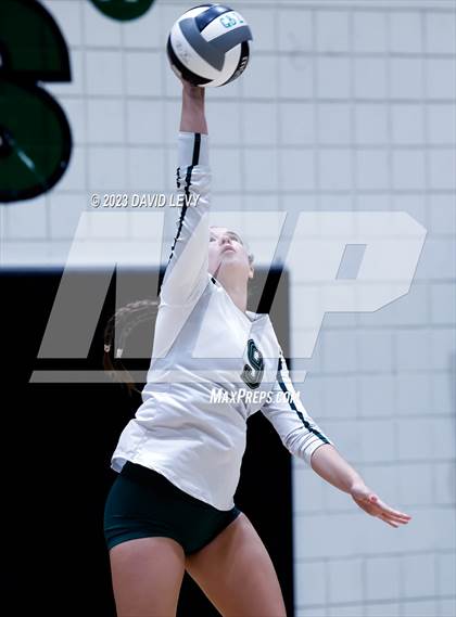 Thumbnail 3 in Perry @ Basha photogallery.