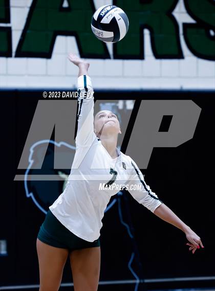 Thumbnail 1 in Perry @ Basha photogallery.