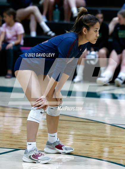 Thumbnail 2 in Perry @ Basha photogallery.