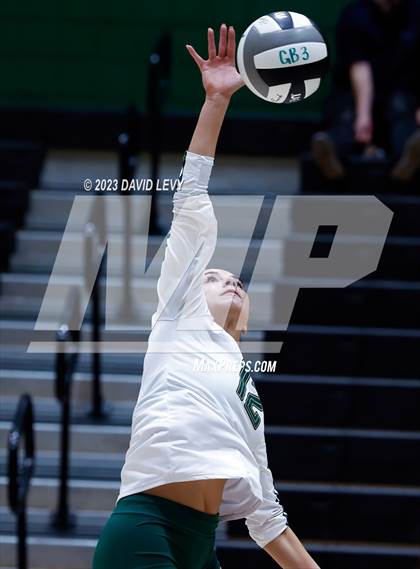 Thumbnail 3 in Perry @ Basha photogallery.