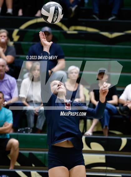 Thumbnail 3 in Perry @ Basha photogallery.