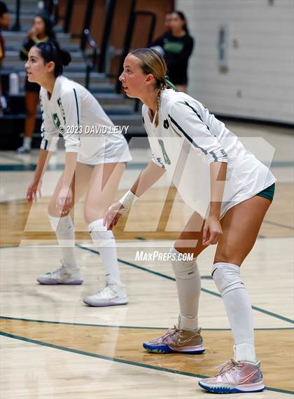 Thumbnail 1 in Perry @ Basha photogallery.