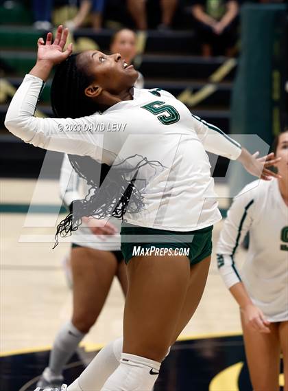 Thumbnail 3 in Perry @ Basha photogallery.