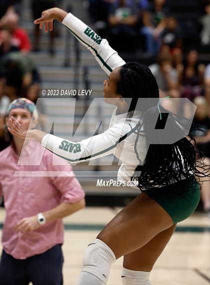 Thumbnail 3 in Perry @ Basha photogallery.