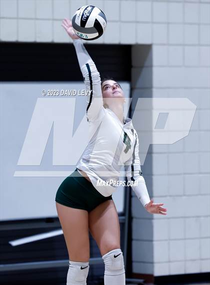 Thumbnail 1 in Perry @ Basha photogallery.