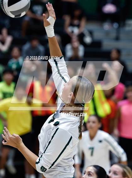 Thumbnail 1 in Perry @ Basha photogallery.