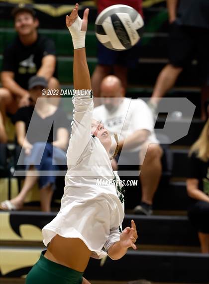 Thumbnail 1 in Perry @ Basha photogallery.