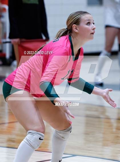Thumbnail 3 in Perry @ Basha photogallery.
