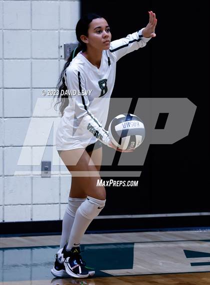 Thumbnail 3 in Perry @ Basha photogallery.