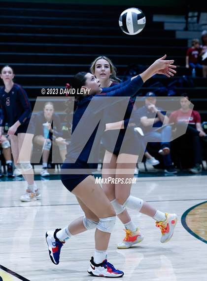 Thumbnail 3 in Perry @ Basha photogallery.