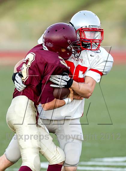 Thumbnail 1 in Antelope @ Whitney photogallery.