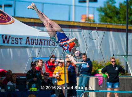 Thumbnail 1 in CIF State Girls Diving Championships photogallery.