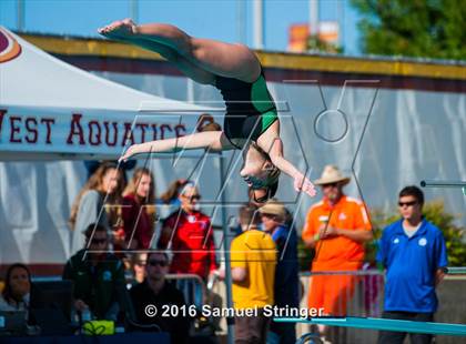 Thumbnail 2 in CIF State Girls Diving Championships photogallery.