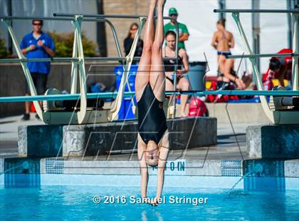 Thumbnail 3 in CIF State Girls Diving Championships photogallery.