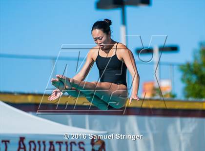 Thumbnail 3 in CIF State Girls Diving Championships photogallery.