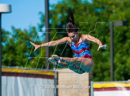 Thumbnail 3 in CIF State Girls Diving Championships photogallery.