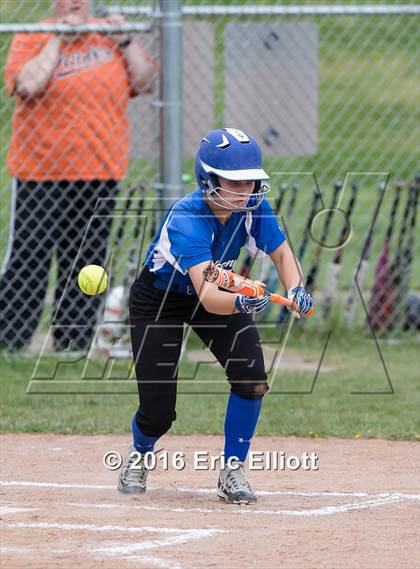 Thumbnail 1 in Allegheny-Clarion Valley @ Rocky Grove photogallery.