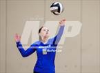 Photo from the gallery "Warren @ Alexander"