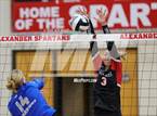 Photo from the gallery "Warren @ Alexander"