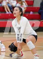 Photo from the gallery "Warren @ Alexander"