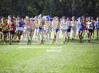 Thumbnail 1 in IHSAA Cross Country Noblesville Regional Championship  photogallery.