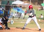 Photo from the gallery "Mt. Carmel @ San Pasqual"