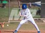 Photo from the gallery "Mt. Carmel @ San Pasqual"