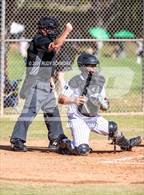 Photo from the gallery "Mt. Carmel @ San Pasqual"