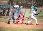 Photo from the gallery "Mt. Carmel @ San Pasqual"