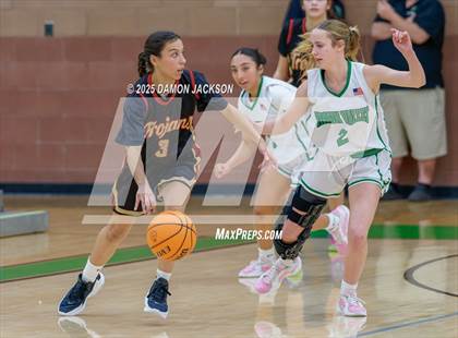 Thumbnail 2 in Pahrump Valley vs Virgin Valley (2025 NIAA Girls Basketball Quarter Finals) photogallery.